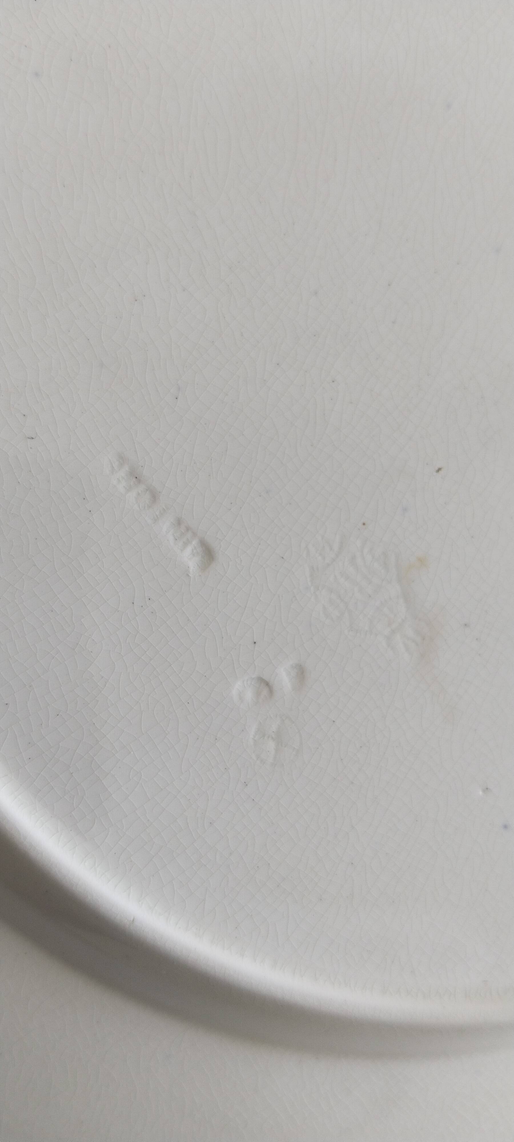 Antique 10" octagonal plate foliage bird Mintons ESSEX BIRDS 1880