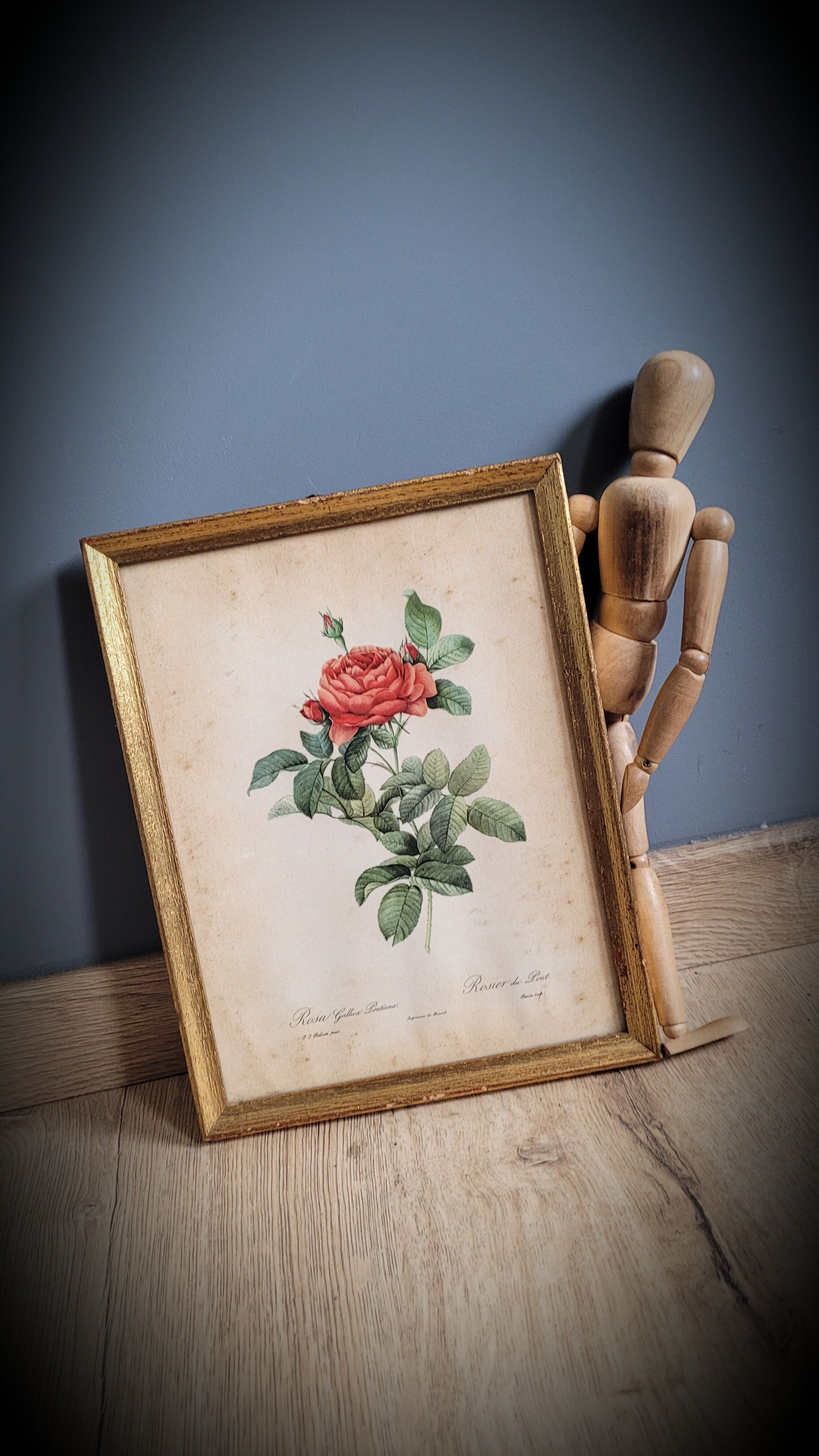 Litho rose of Pont P