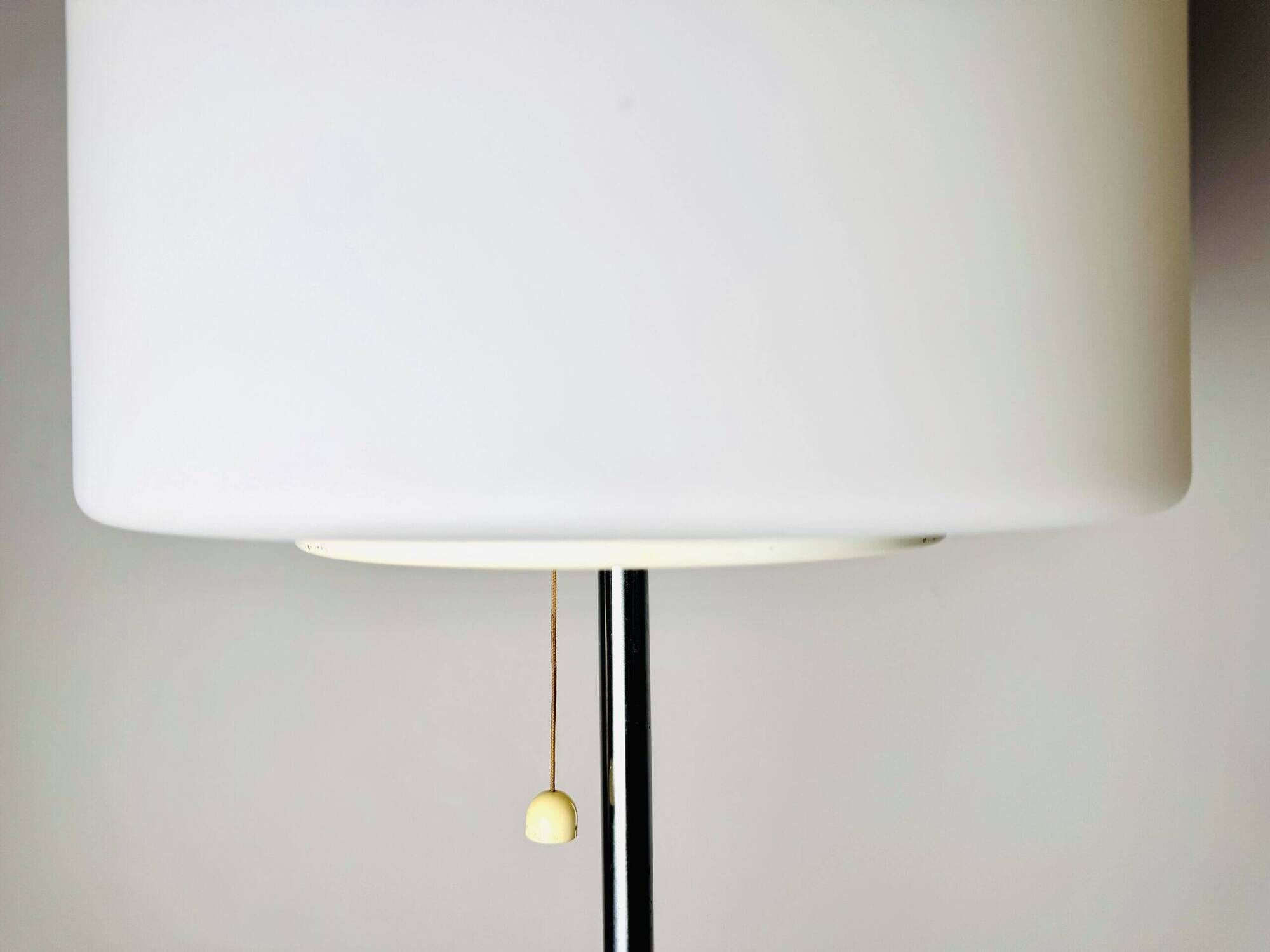 Model A251 Floor Lamp By Aldo Van Den Nieuwelaar For Artimeta, The Netherlands 1972