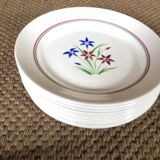 Set of 10 flat plates