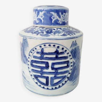 Pot à thé en porcelaine de Chine avec couvercle blanc bleu décor paysages et floral
