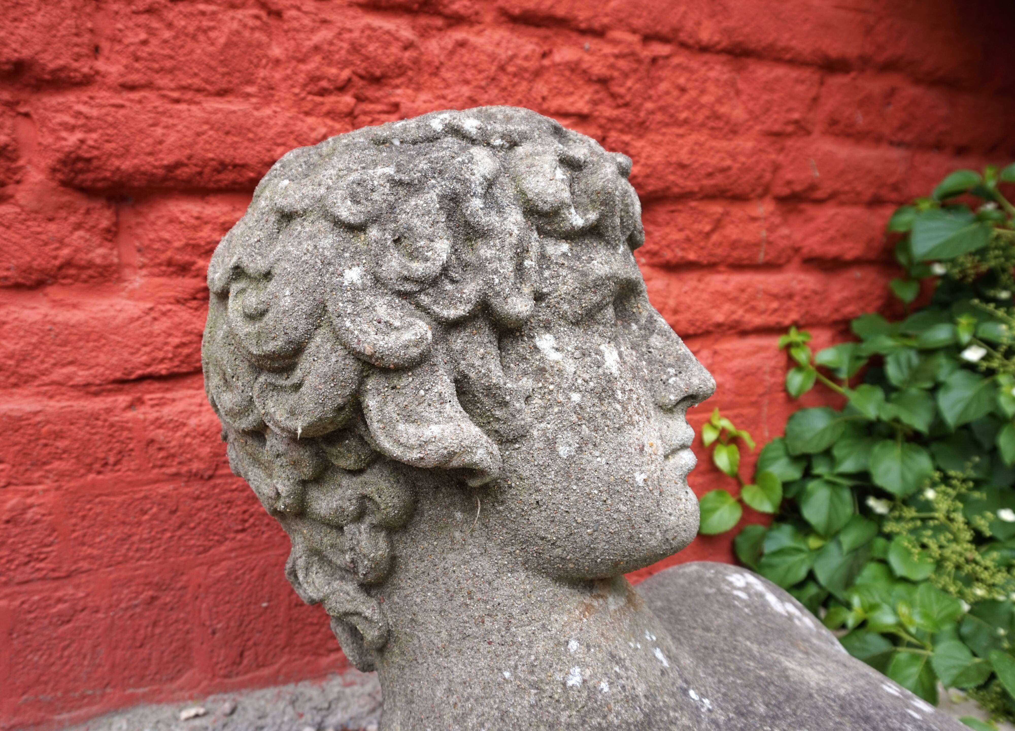 Weathered garden sculpture David concrete bust