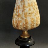 Cabinet de Curiosités coquillage conus pulcher sur socle