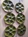 6 vintage ceramic oyster plates from Gien