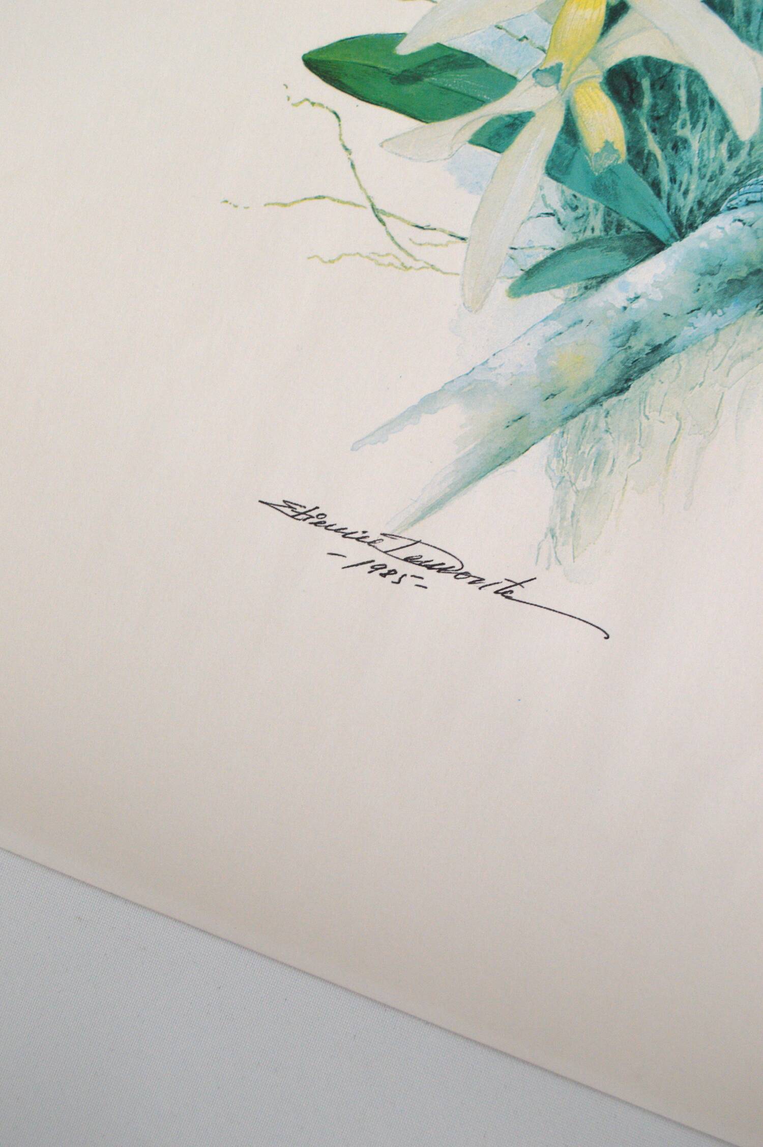 Vintage Exotic Poster