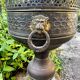 Large brass lion planter on a stand in Baroque Art Nouveau style.