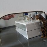 Asymmetric Mirror