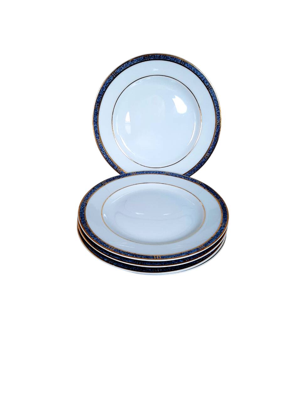 Bernardaud Limoges Antinea service plates