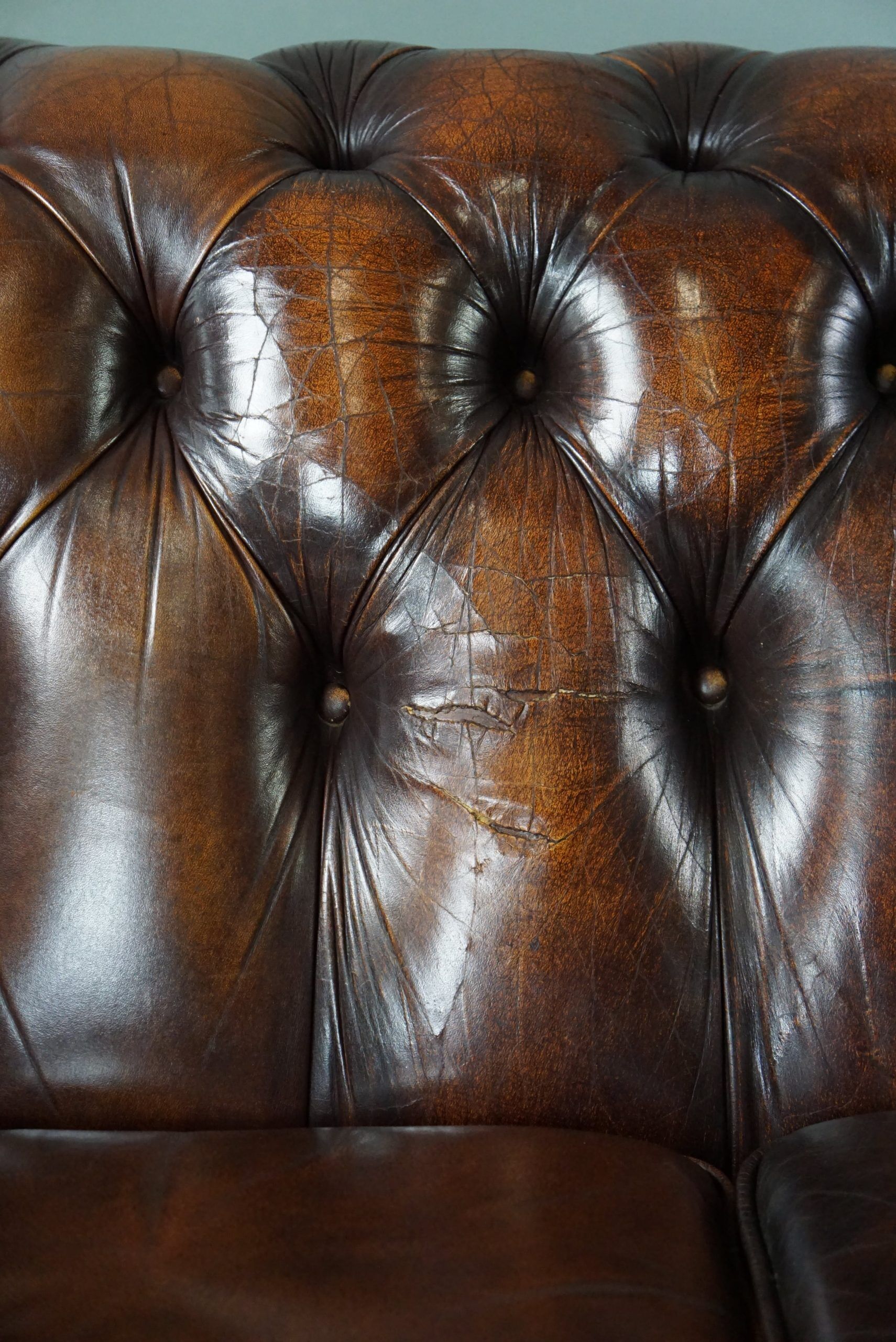Chesterfield sofa in old cowhide 2.5 seats