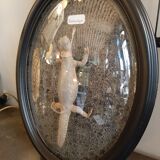 Taxidermy lizard whip-tail