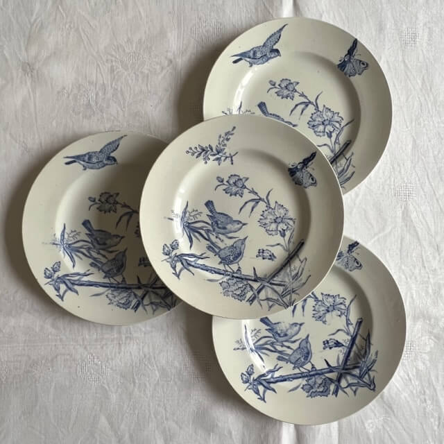 Set of 4 plates in iron earth, Aucella de Saint Amand