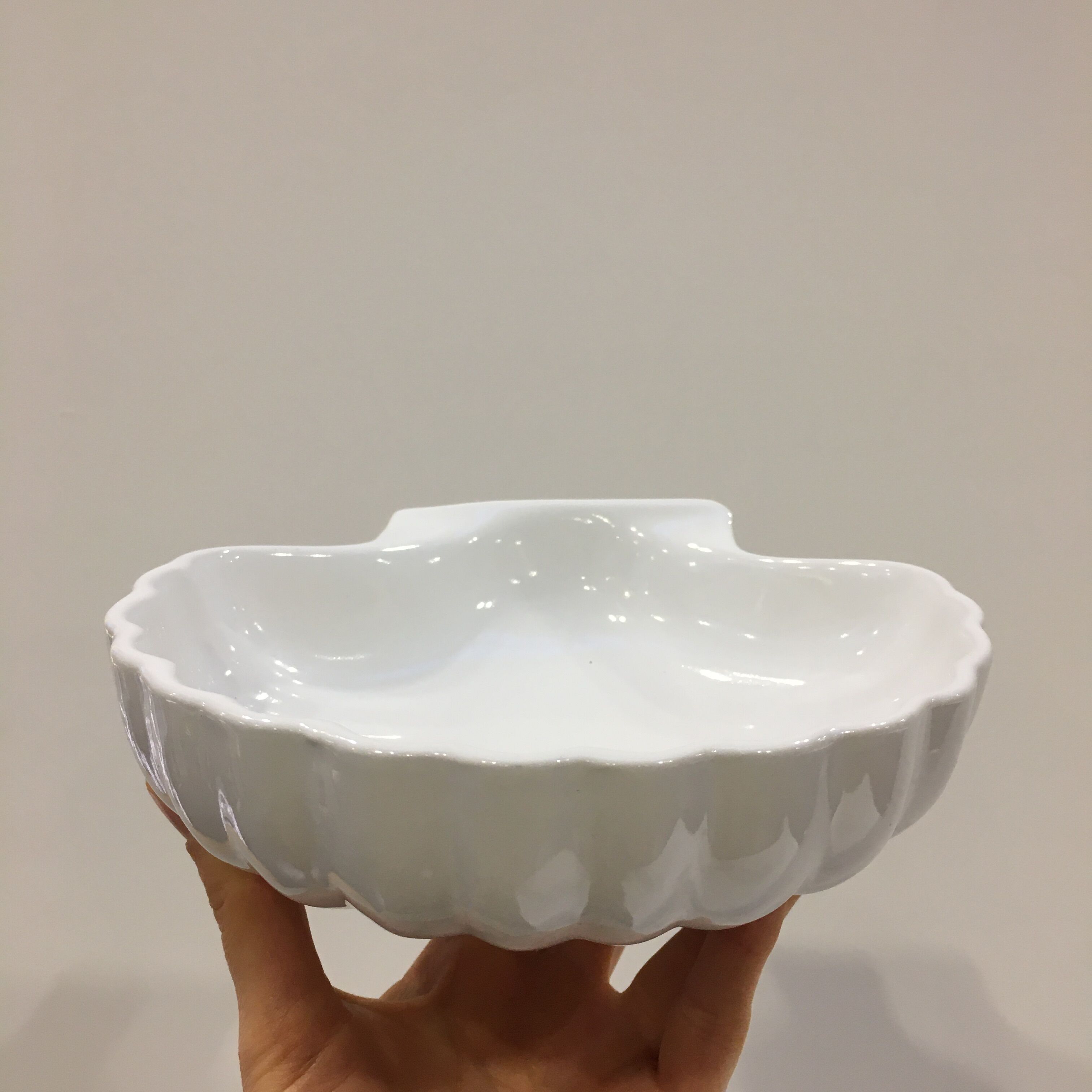 Empty White Ceramic Shell Pocket Selency
