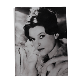 Original photograph of "Béatrice Altariba" 1960's