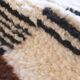 Contemporary Berber Rug - 273 x 192 cm
