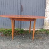 Extendable Scandinavian table