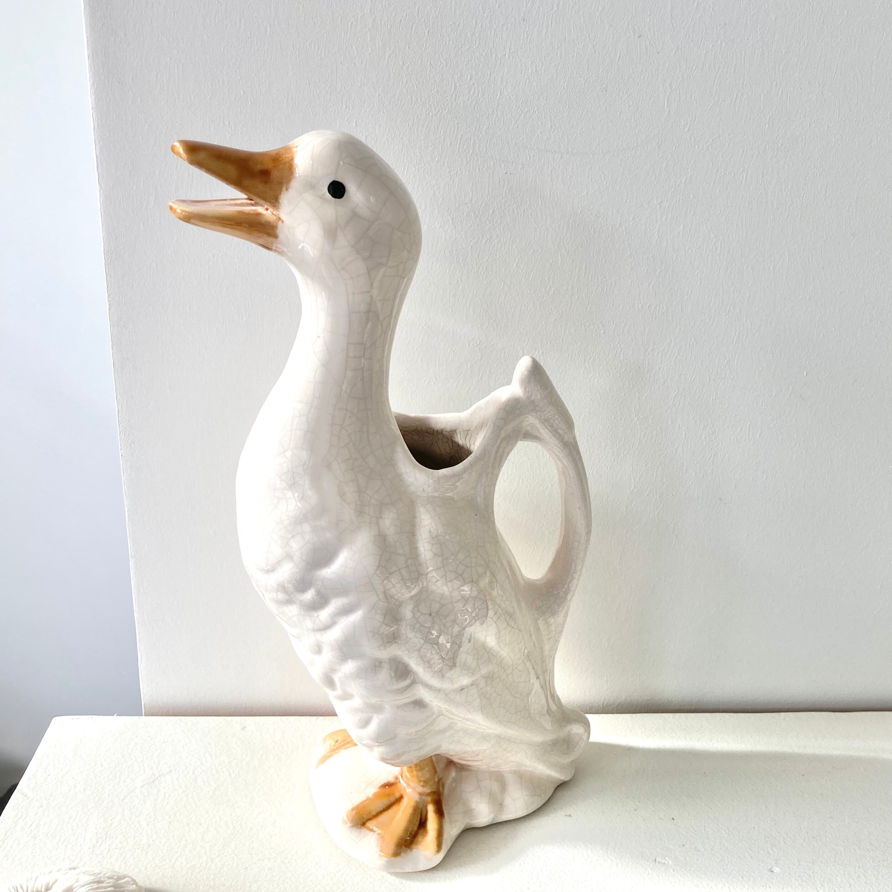 Pitcher duck slurry St Clément