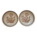 Total soup plates
