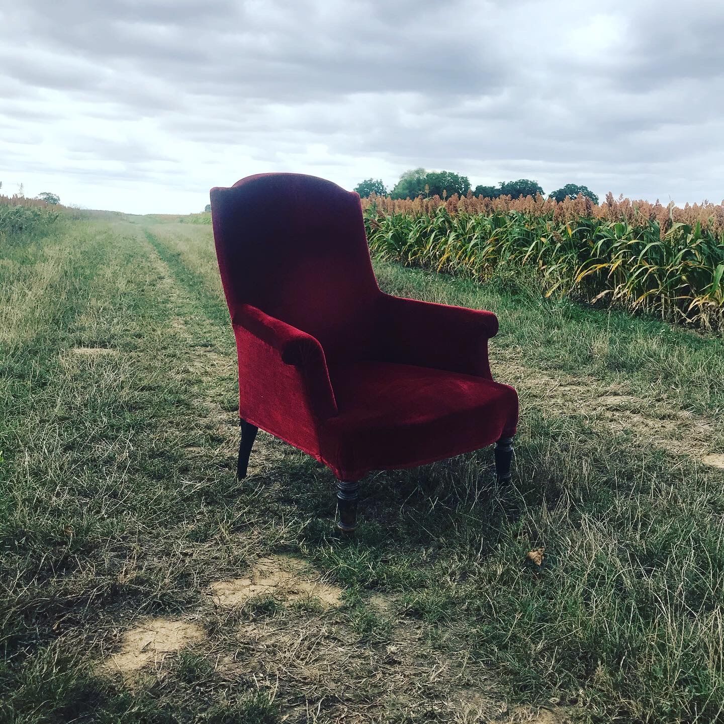 Bordeaux velvet english armchair