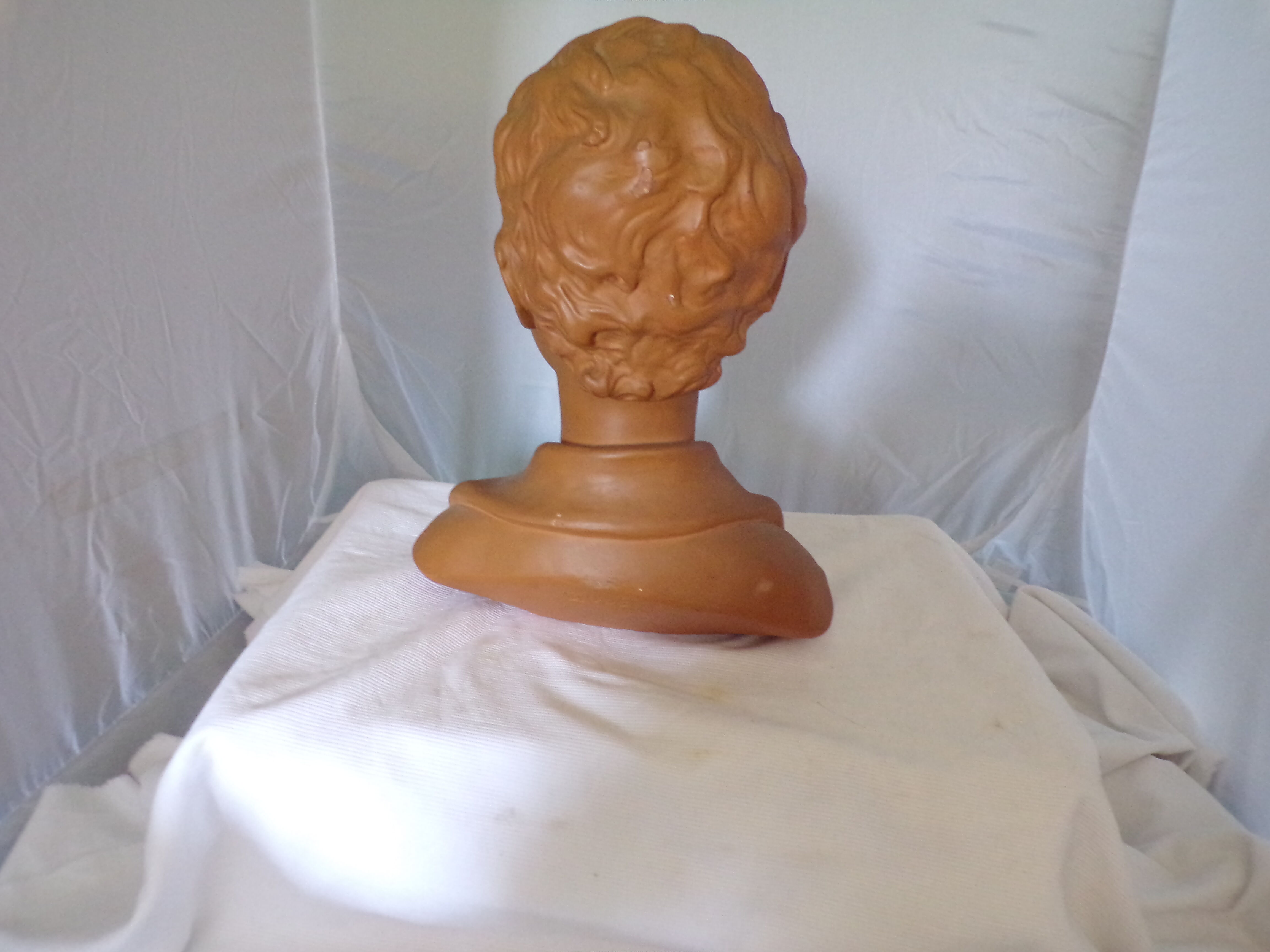 Bust of a young man in plaster