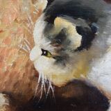 Peinture l'huile sur panneaux chatons jouant par Leon Huber