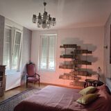 Lustre vintage à 9 feux Scoliari pour Mazzega années 60-70