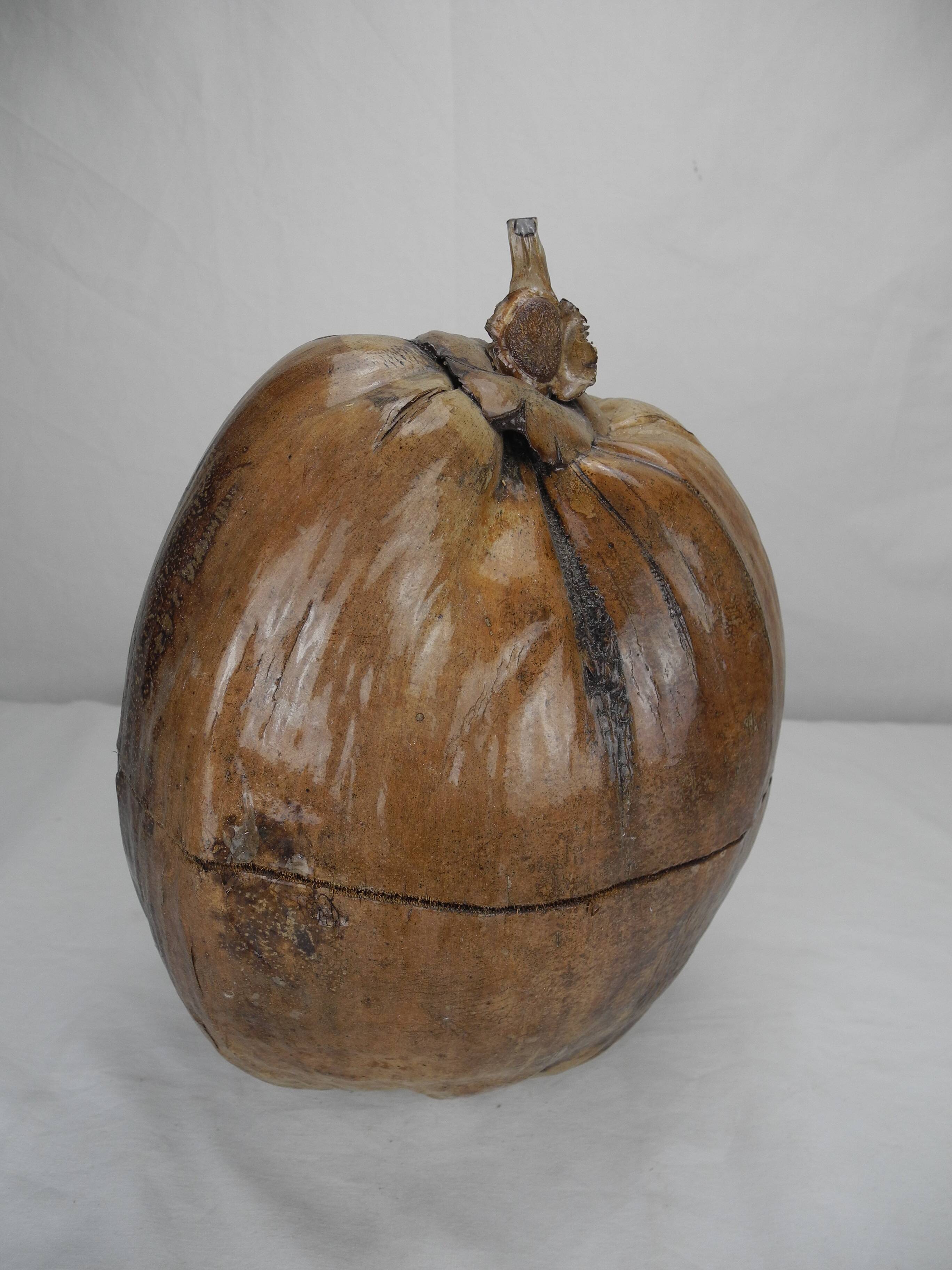 Old vintage decorative coconut ice cube bucket