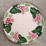 Barbotine plates