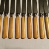 Set of 10 blade knives in steel cheese and dessert