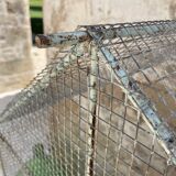 Cage birds