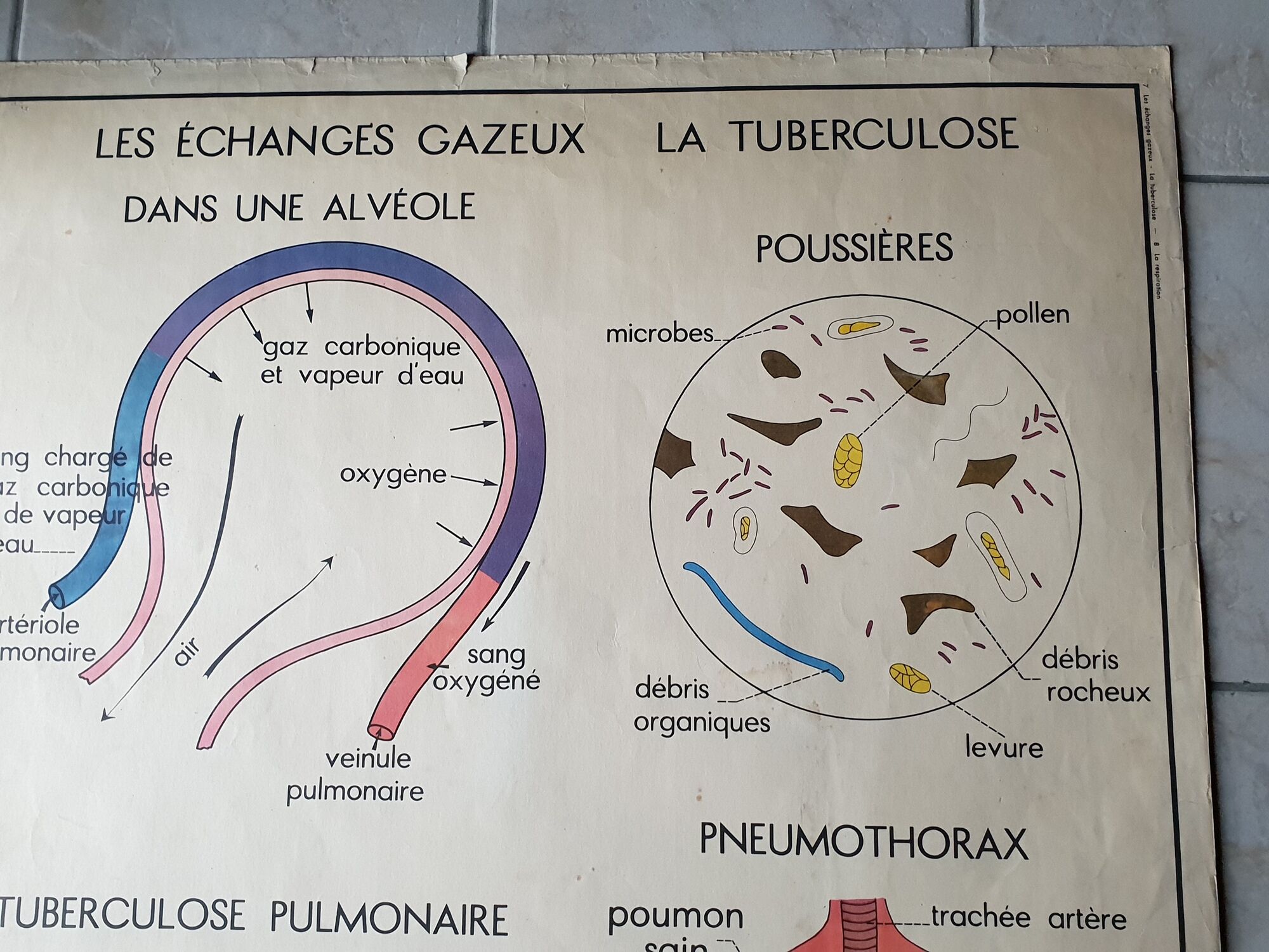 School poster Rossignol
