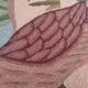 Hanging tapestry