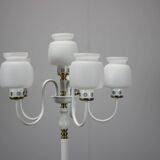 Mid-Century Floor Lamp by Drukov Brno, 1970s, Czechoslovakia