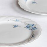6 Bavarian porcelain plates blueberry model