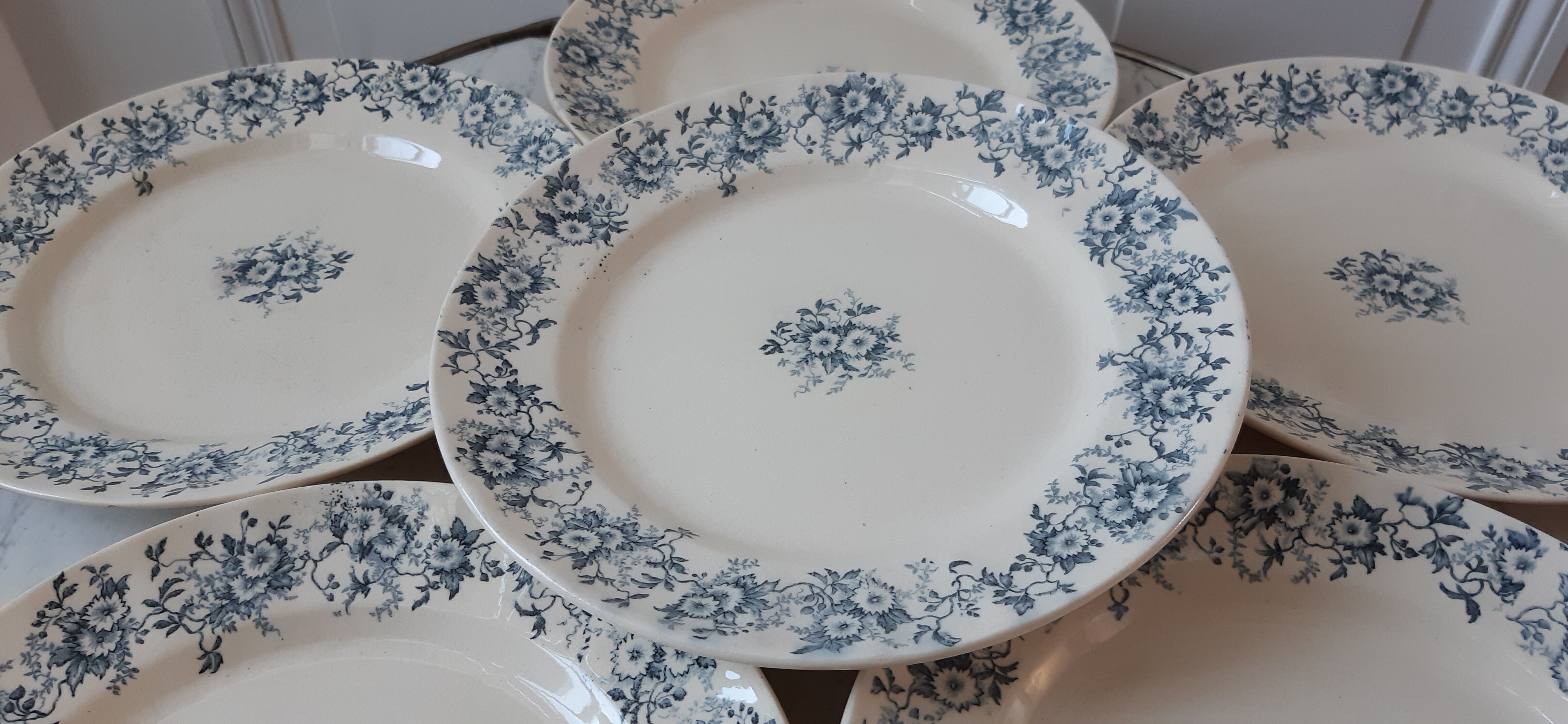 Set of 6 flat plates Terre de Fer model "Aster" XIXth