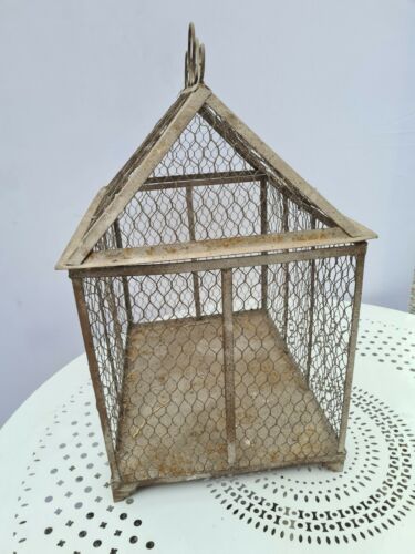 Iron bird cage