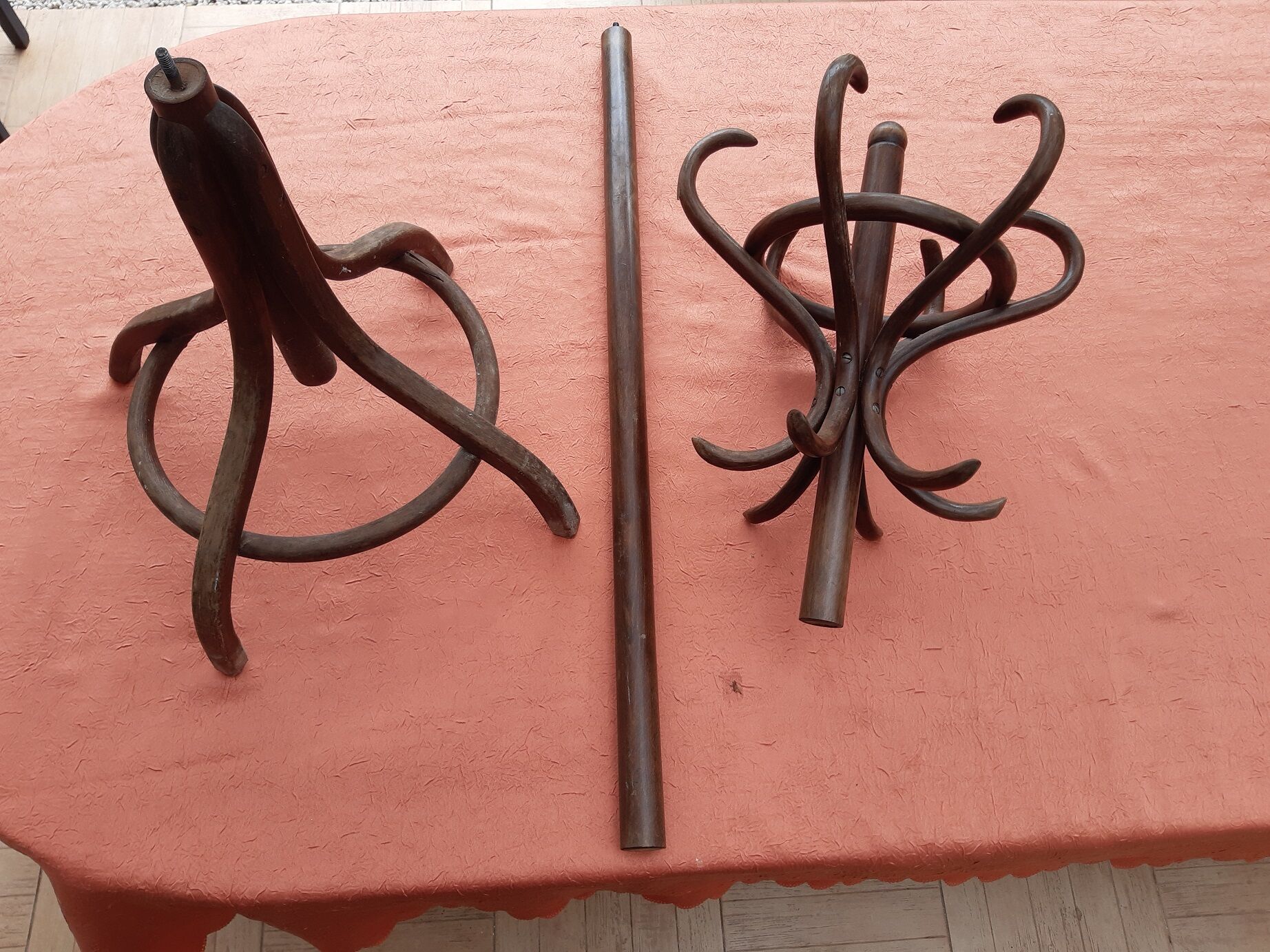 Old parrot coat rack