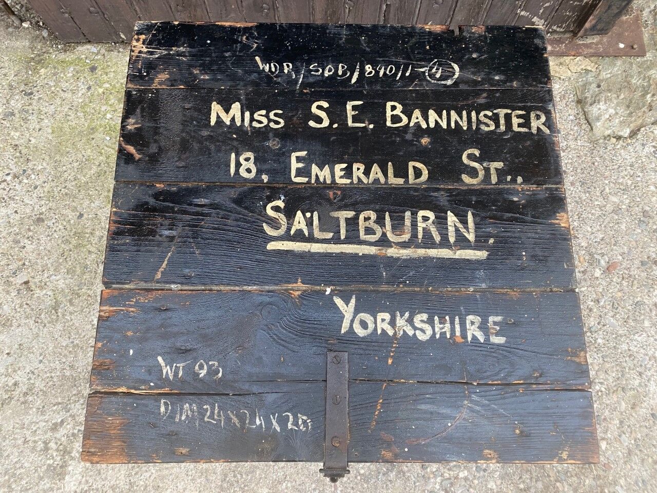 Large old trunk