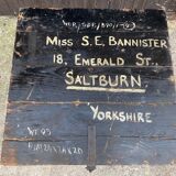 Large old trunk