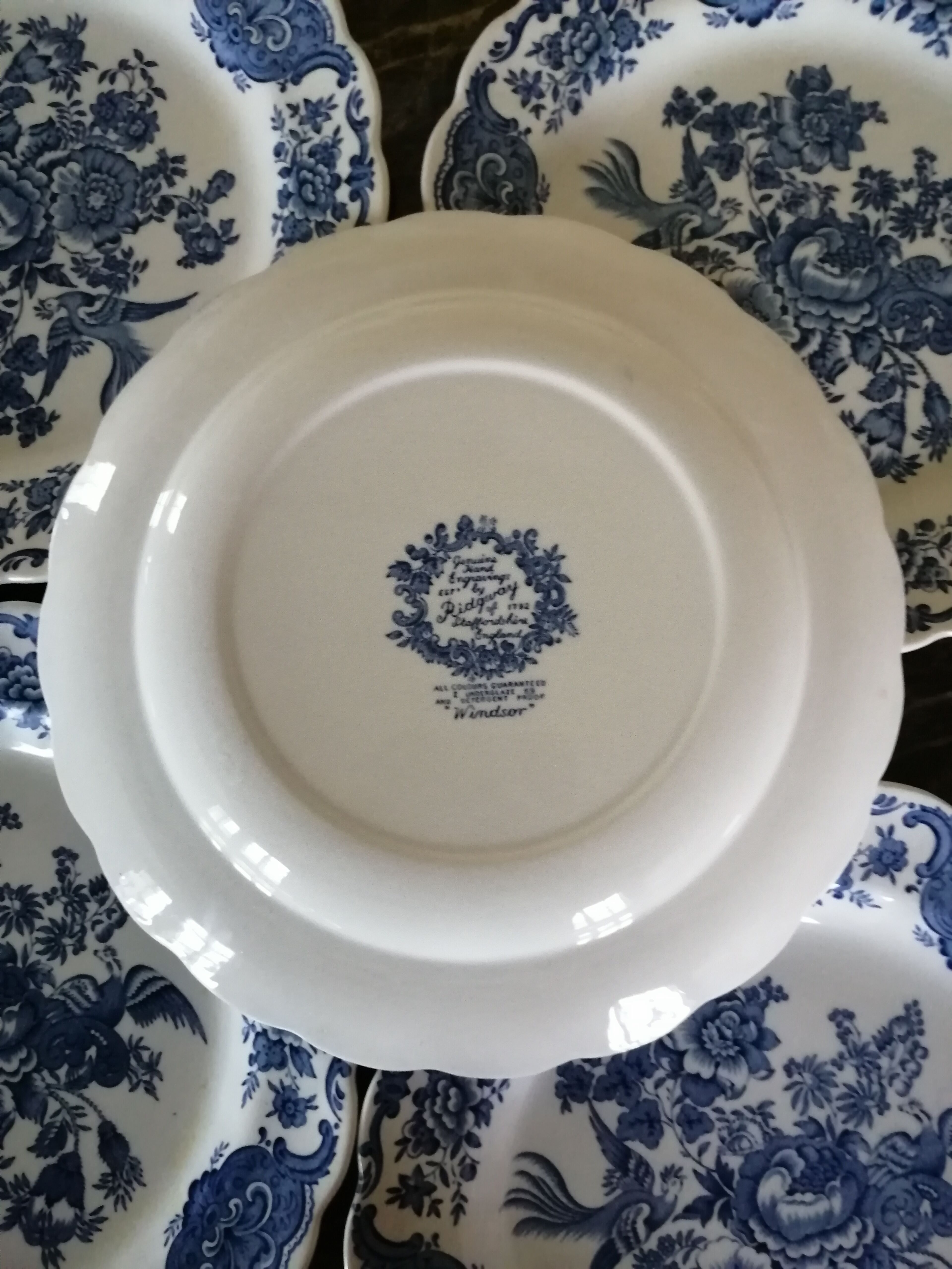 Lot of 6 flat plates Ridgway Staffordshire England