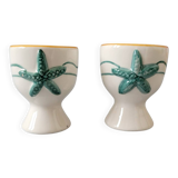 2 sea egg cups