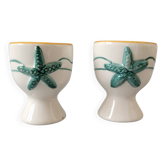 2 sea egg cups