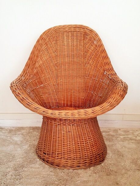 Adult armchair easy flesh rattan