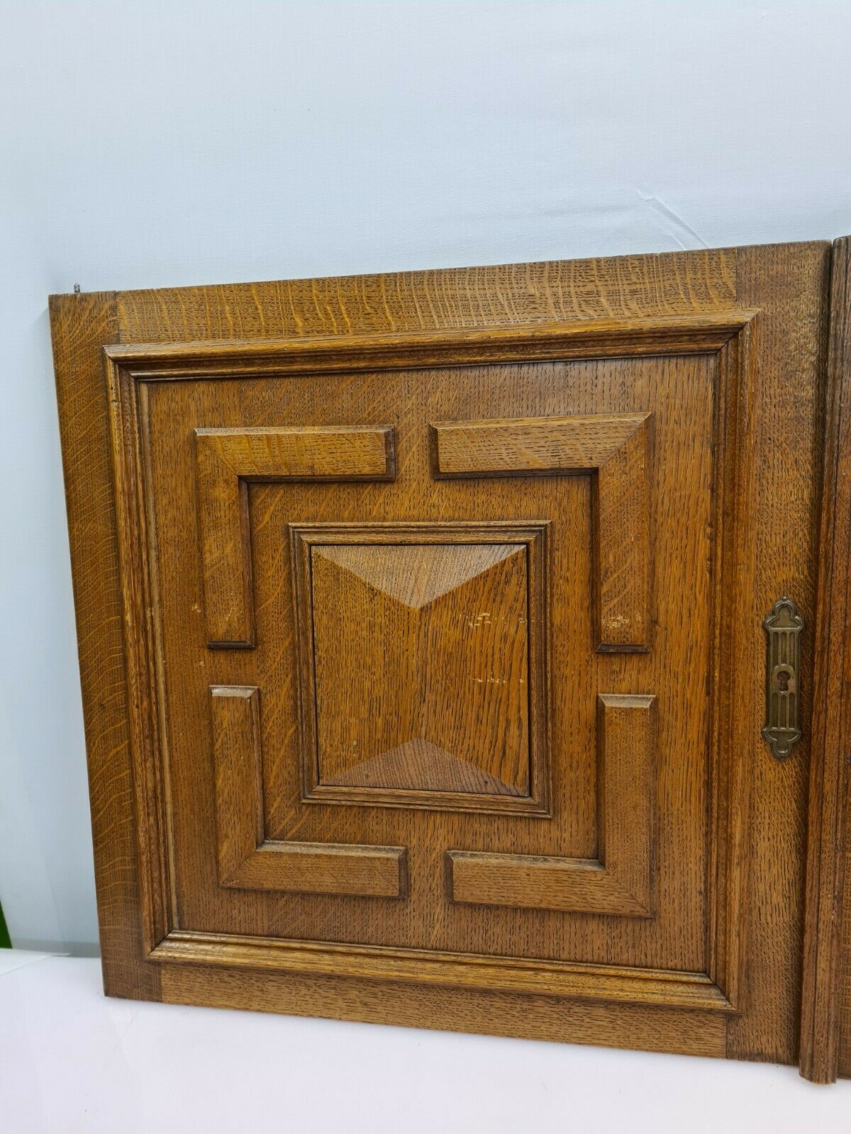 Oak doors (pair)