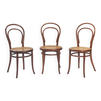 Chaises de bistrot Thonet n° 14 118 en bois courbé et sangles, 1880