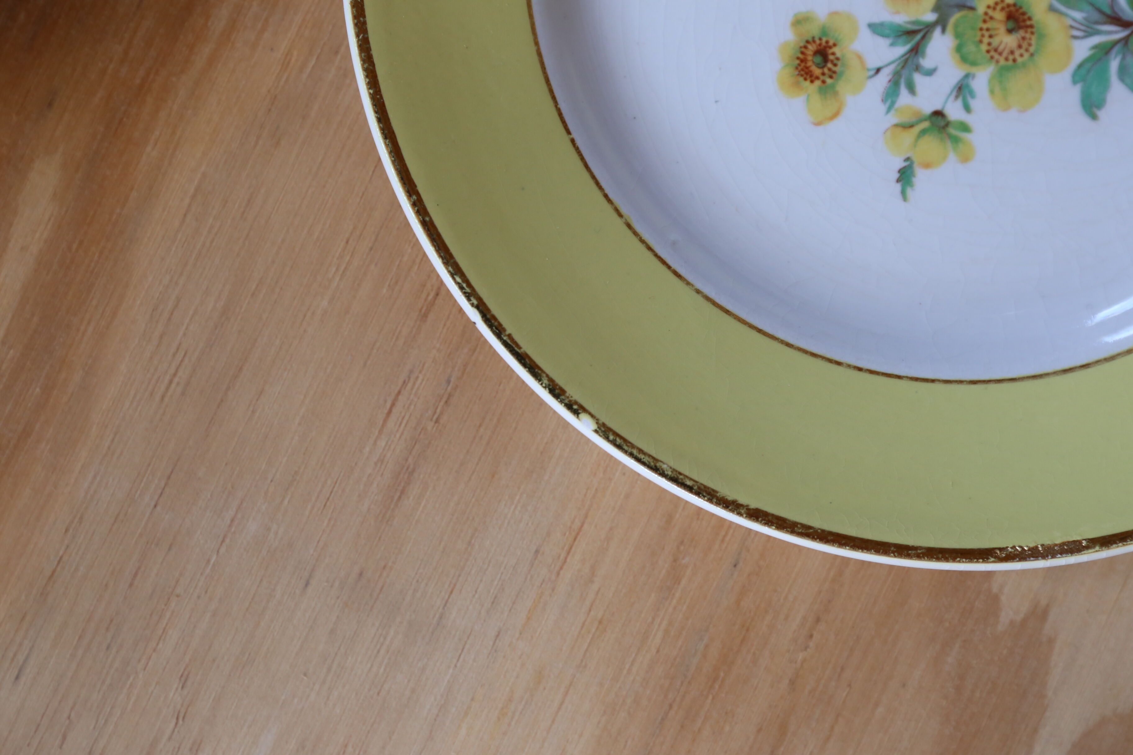 6 old plates Digoin & Sarreguemines