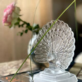 Crystal peacock book greenhouse