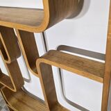 Room Divider by Ludvik Volak for Drevopodnik Holesov, 1950s