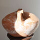 Cruche de tête à eau ou dourne