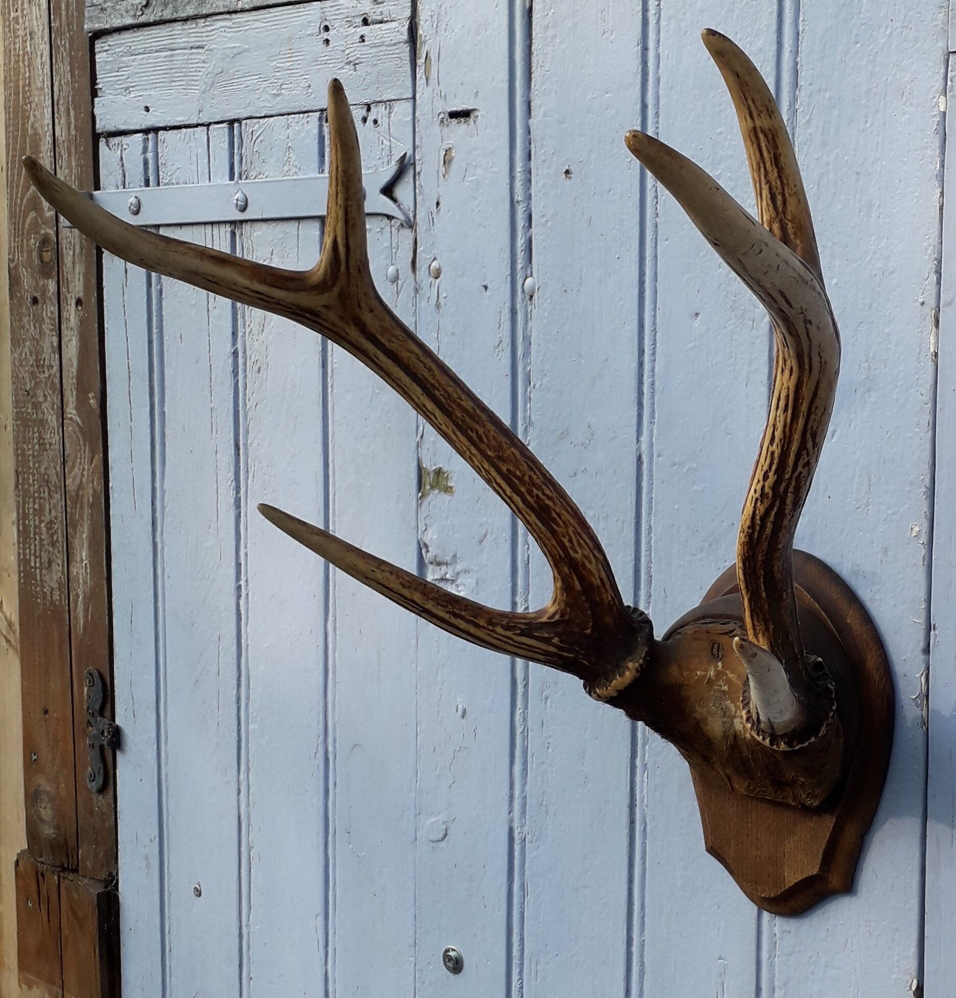 Slaughter of deer on coat of arms