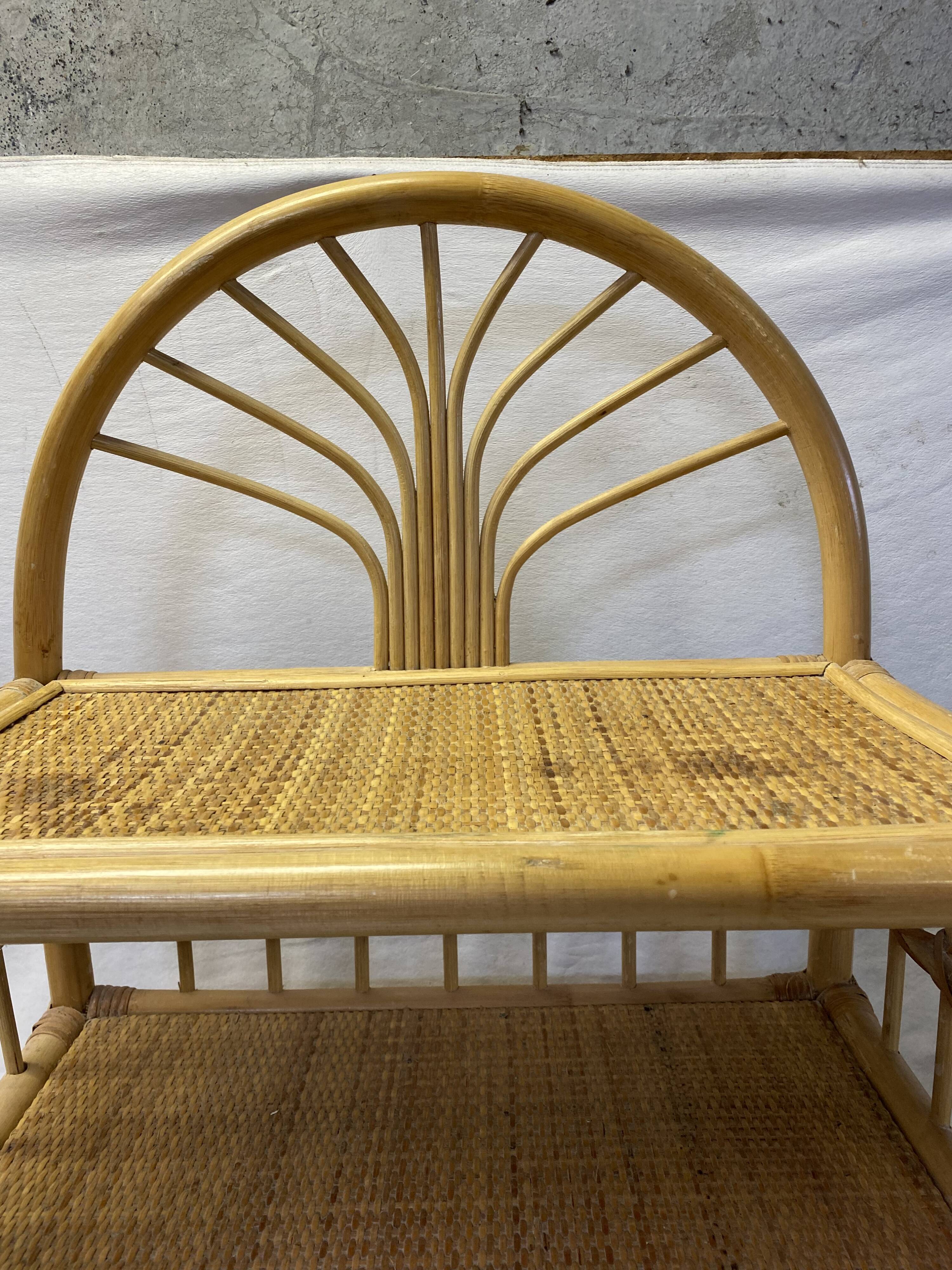 Vintage rattan storage cabinet
